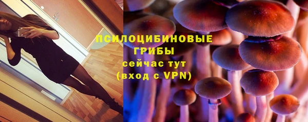 синтетический гашиш Арсеньев