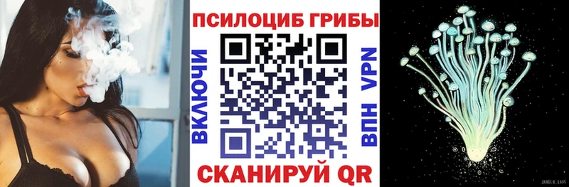 наркотики  Обоянь  Галлюциногенные грибы Psilocybe 